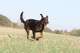 BEAUCERON 156